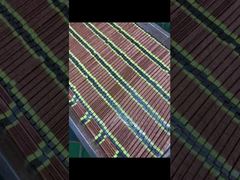 OEM Υψηλής Εντατικότητας Φώτα Επεξεργασίας UV 20000 ώρες διάρκεια ζωής για εκτυπωτή μελάνι