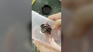 Σύστημα ωρίμανσης UV LED Fast Ink Drying